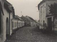 Hf_798 Hf_798