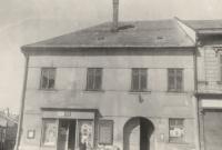 Hf_813 Hf_813