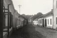 Hf_884 Hf_884