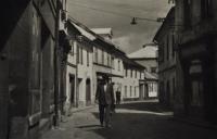Hf_981 Hf_981